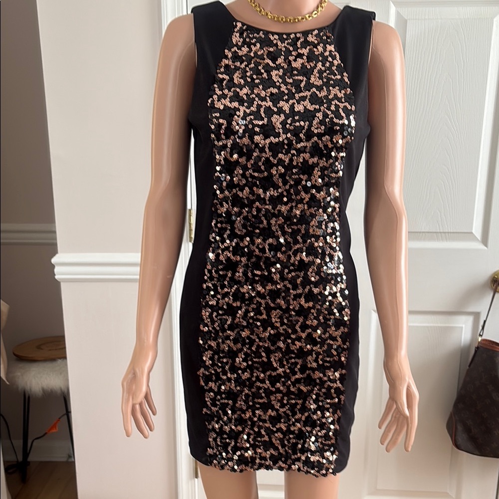 Black and Silver Sleeveless Sheath Mini Dress